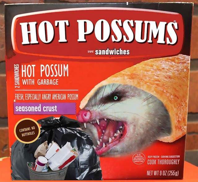 hot pockets 6.jpg